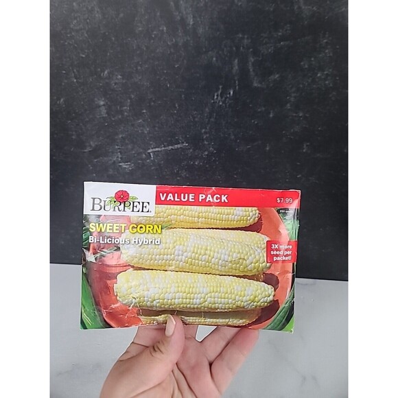Burbee Sweet Corn Bi-Licious Hybred Seeds - Picture 2 of 10